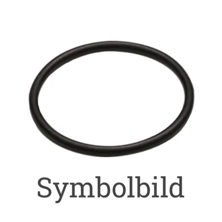 O-Ring20 x 2