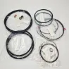 Dichtsatz Powertilt PTS08 alt